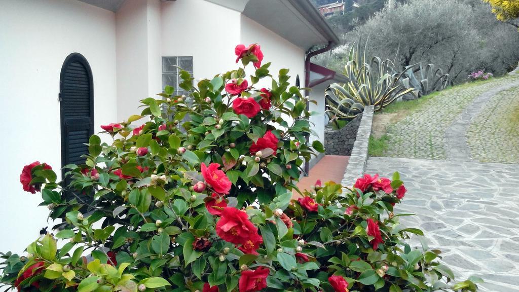 Villa Il Pettirosso La Spezia Rum bild